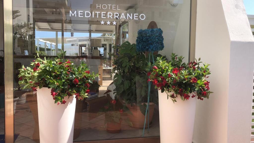 Mediterraneo